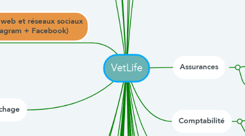 Mind Map: VetLife