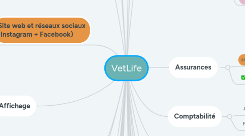 Mind Map: VetLife