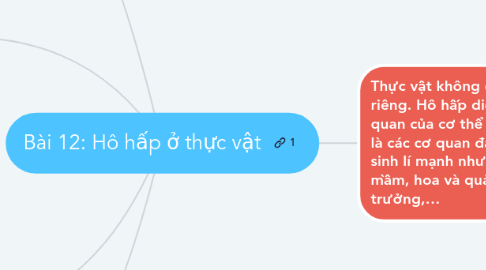 Mind Map: Bài 12: Hô hấp ở thực vật