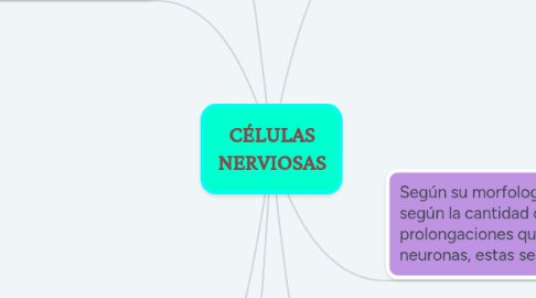 Mind Map: CÉLULAS NERVIOSAS