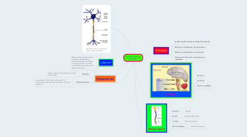 Mind Map: SISTEMA NERVIOSO CENTRAL