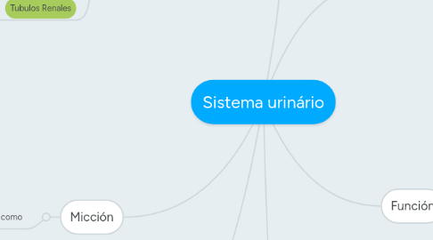 Mind Map: Sistema urinário