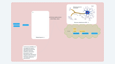Mind Map: SISTEMA NERVIOSO CENTRAL SNC