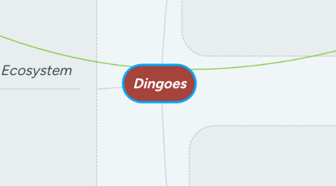 Mind Map: Dingoes