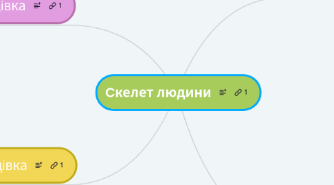 Mind Map: Cкелет людини