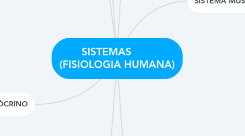 Mind Map: SISTEMAS        (FISIOLOGIA HUMANA)