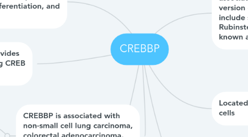 Mind Map: CREBBP