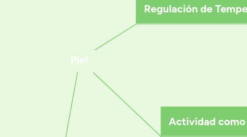 Mind Map: Piel