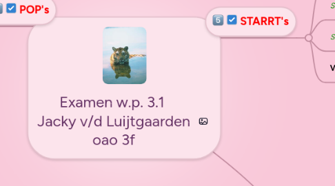 Mind Map: Examen w.p. 3.1 Jacky v/d Luijtgaarden oao 3f