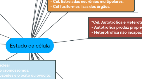 Mind Map: Estudo da célula