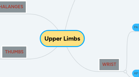 Mind Map: Upper Limbs