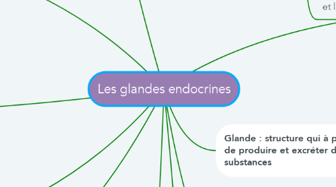 Mind Map: Les glandes endocrines