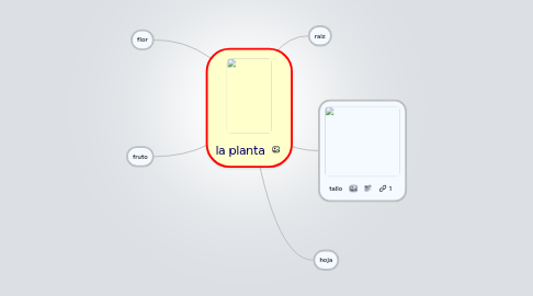 Mind Map: la planta