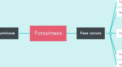 Mind Map: Fotosíntesis