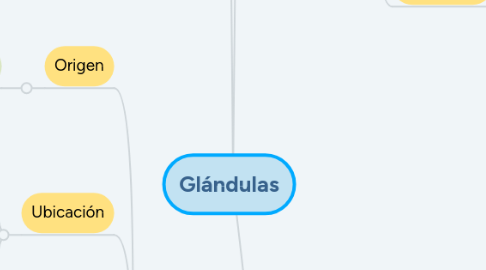 Mind Map: Glándulas