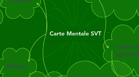 Mind Map: Carte Mentale SVT