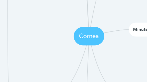 Mind Map: Cornea