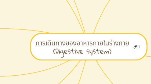 Mind Map: การเดินทางของอาหารภายในร่างกาย (Digestive system)