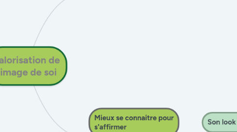 Mind Map: Valorisation de l'image de soi