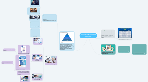 Mind Map: NORMATIVIDAD CONTABLE MEXICANA