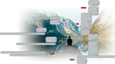 Mind Map: Life Plan