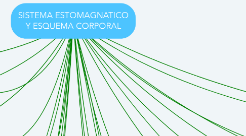 Mind Map: SISTEMA ESTOMAGNATICO Y ESQUEMA CORPORAL