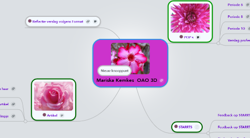 Mind Map: Mariska Kemkes  OAO 3D