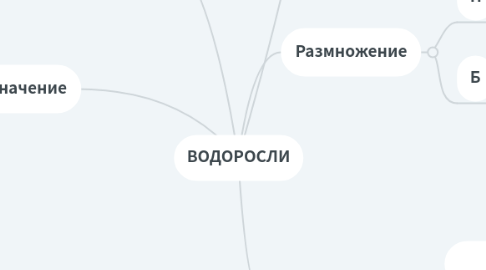 Mind Map: ВОДОРОСЛИ