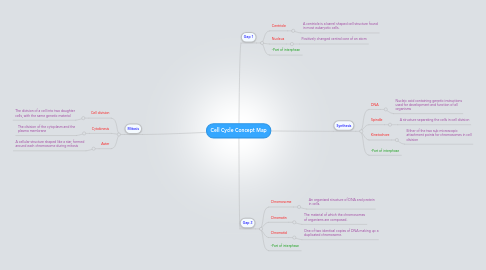 Mind Map: Cell Cycle Concept Map