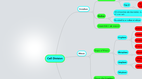 Mind Map: Cell Division