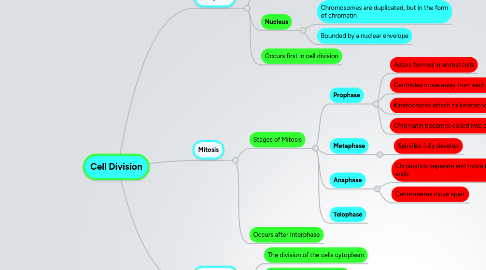 Mind Map: Cell Division