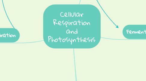 Mind Map: Cellular Respiration and Photosynthesis