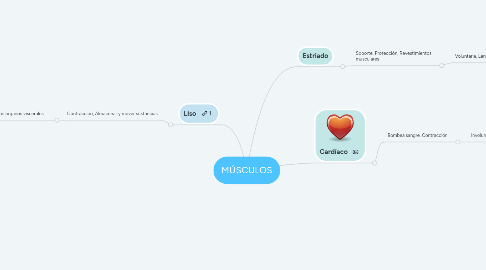 Mind Map: MÚSCULOS