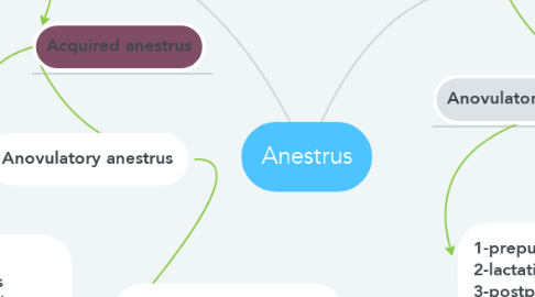 Mind Map: Anestrus