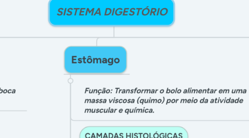 Mind Map: SISTEMA DIGESTÓRIO