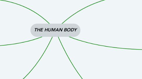 Mind Map: THE HUMAN BODY