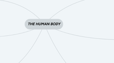 Mind Map: THE HUMAN BODY