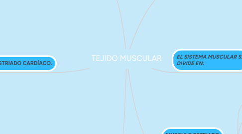 Mind Map: TEJIDO MUSCULAR