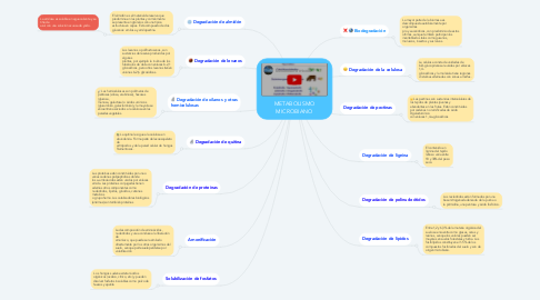 Mind Map: METABOLISMO MICROBIANO