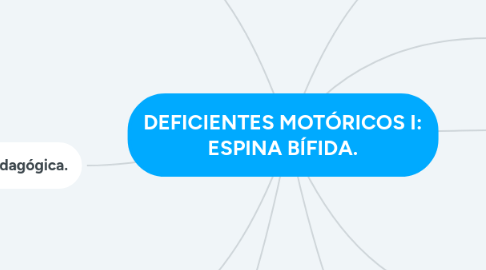 Mind Map: DEFICIENTES MOTÓRICOS I: ESPINA BÍFIDA.