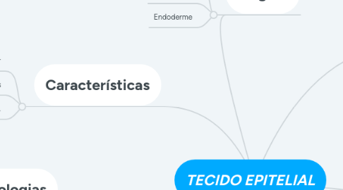 Mind Map: TECIDO EPITELIAL