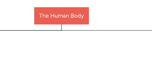 Mind Map: The Human Body