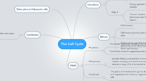 Mind Map: The Cell Cycle