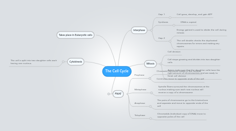 Mind Map: The Cell Cycle