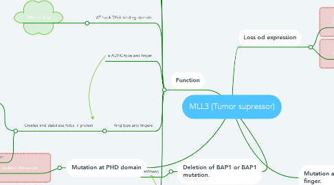 Mind Map: MLL3 (Tumor supressor)