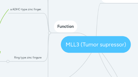 Mind Map: MLL3 (Tumor supressor)