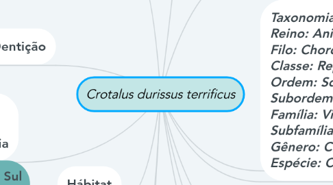 Mind Map: Crotalus durissus terrificus