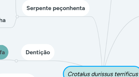 Mind Map: Crotalus durissus terrificus