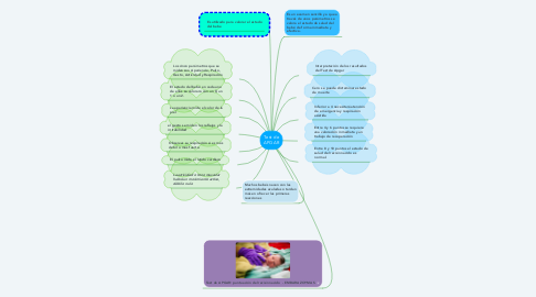 Mind Map: Test de APGAR