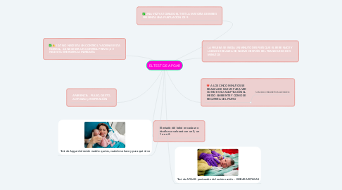 Mind Map: EL TEST DE APGAR